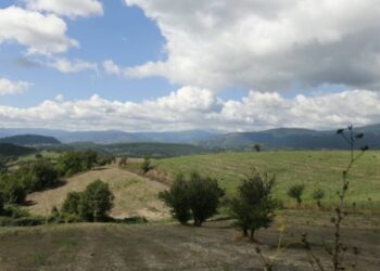 Gal Kroton istituisce ‘I Parchi Letterari@ Pitagora e il Marchesato di Crotone’