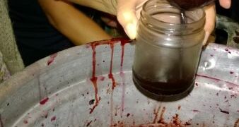 Mostarda d’uva calabrese