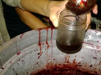 Mostarda d’uva calabrese