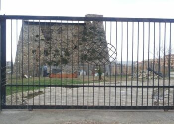 Ciro’ Marina: oasi canina ai piedi della torre, piovono critiche