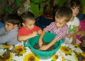 Vendemmia 2014 Baby Kinder Park