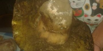 Trovato da una cirotana un grosso fungo di tre chili