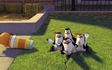 I pinguini di Madagascar: clip in anteprima su Sky Cinema.it