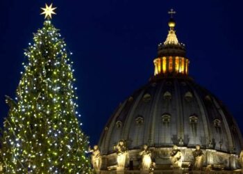 Per Papa Francesco albero di Natale dalla Calabria