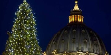 Per Papa Francesco albero di Natale dalla Calabria