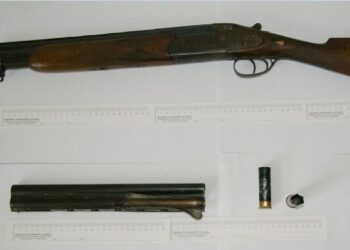 Ferisce cane a colpi di fucile, denunciato 72enne nel cosentino