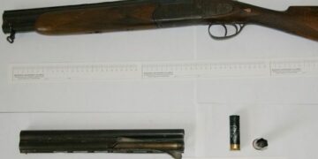 Ferisce cane a colpi di fucile, denunciato 72enne nel cosentino