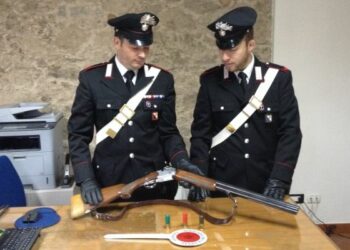 Cacciavano nell’area protetta della Sila, tre denunce