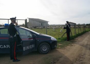 Furti in aziende agricole, fermato muratore a Isola Capo Rizzuto