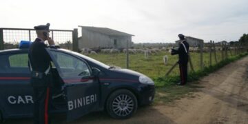 Furti in aziende agricole, fermato muratore a Isola Capo Rizzuto