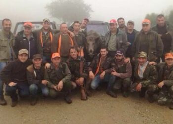 Carfizzi, scovato il re del bosco della Montagnella