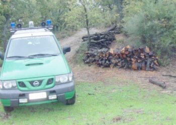 Ruba legna nel bosco, denunciato 36enne a Melissa