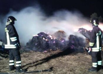 Lamezia Terme, incendiati veicoli in azienda agricola