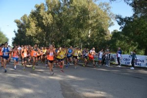 Minimaratona del Vino 2014 a Cirò Marina