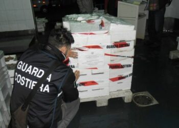 Controlli nel mercato ittico di Corigliano, 8 denunce e multe