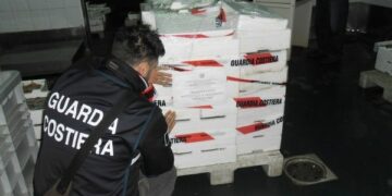 Controlli nel mercato ittico di Corigliano, 8 denunce e multe