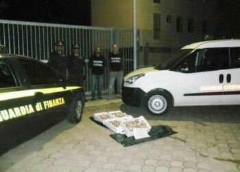 Corigliano, sequestrati 30 chili di novellame di triglia