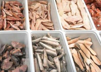 Carne e pesce sospetti: sequestrati prodotti surgelati a Crotone