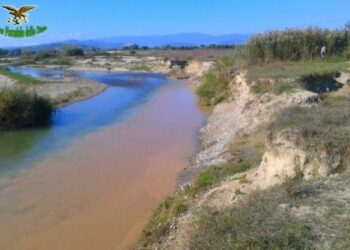 Rocca di Neto, scoperto sversamento di acque di lavaggio inerti nel fiume