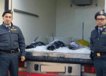 Rossano, sequestrati 150kg di tonno rosso: devoluti in beneficenza