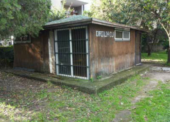 Torretta, Circolo Anziani preso di mira dai ladri