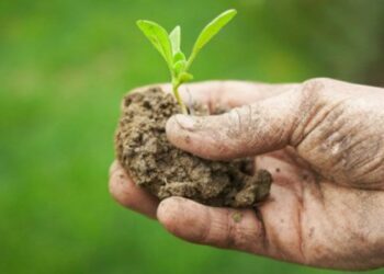 I giovani italiani che inventano il lavoro: Calabria in finale agli ‘Oscar Green’