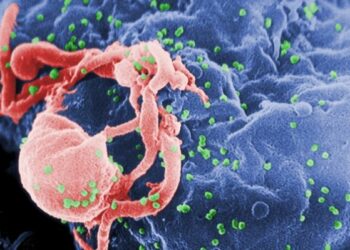 HIV/Aids: nel 2013 in Calabria 10 nuove diagnosi, oltre 3000 in Italia