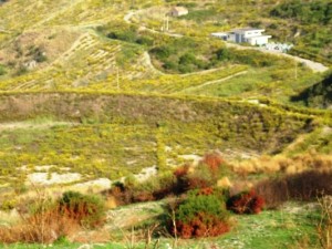 Sito incompleto in zona Coppa