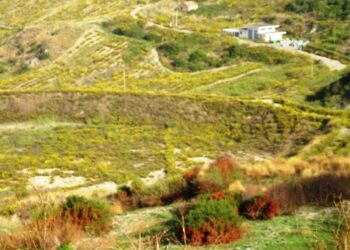 Ciro’: i rifiuti da martedi saranno prelevati due volte alla settimana