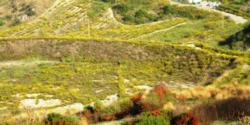 Ciro’: i rifiuti da martedi saranno prelevati due volte alla settimana