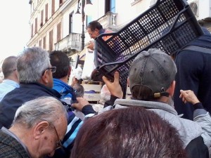 distribuzione frutta 