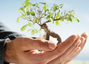 Festa degli alberi nelle scuole di Cariati