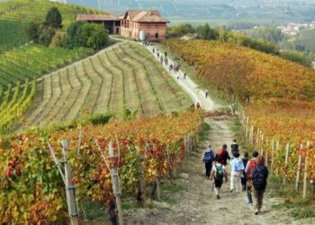 Crotone, promozione territoriale: arriva ‘Incoming Calabria’