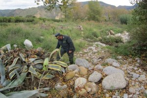 Controllo ambientale