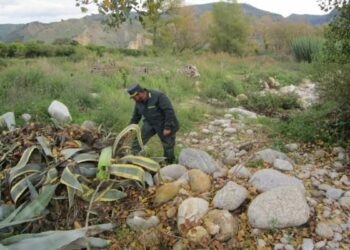 Scoperti 8 siti abusivi per smaltimento rifiuti tra Petilia Policastro e Roccabernarda