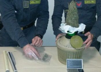 Lamezia Terme, spacciatore incastrato da cane antidroga alla stazione