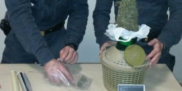 Lamezia Terme, spacciatore incastrato da cane antidroga alla stazione