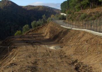 Gradona terreno boschivo percorso dal fuoco, una denuncia a Mesoraca