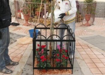 Ciro’ Marina, un omaggio alla Madonna