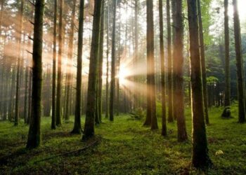 Calabria: Parco delle Serre realizza calendario 2015