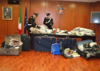 Cane fiuta droga in scantinato, trovati 110 chili di marijuana e hashish a Cosenza