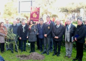 Crotone, Giornata Memoria: piantumato ulivo al ‘Pitagora’