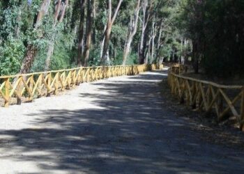 Ciro’ Marina: recinzioni con filo spinato in Pineta, sindaco ordina rimozione