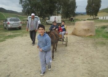 ‘Stalle aperte’, passeggiata tra le fattorie del crotonese