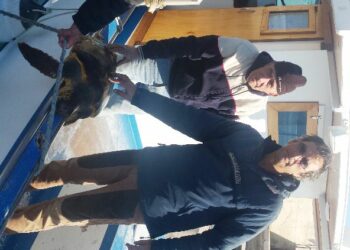 Tartaruga impigliata in rete salvata da pescatori a Capo Colonna