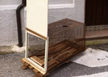 Sequestrata trappola per catturare volpi nel cosentino