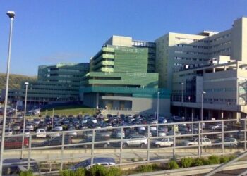 UniCz, ex no global diventa docente e scoppia polemica