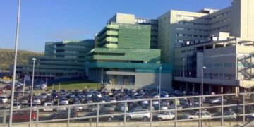 UniCz, ex no global diventa docente e scoppia polemica