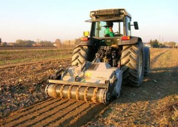 In Calabria il 20% degli occupati lavorano nell’agricoltura