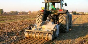 In Calabria il 20% degli occupati lavorano nell’agricoltura